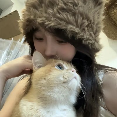 熊猫回家路封面